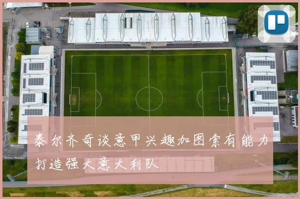 泰尔齐奇谈意甲兴趣加图索有能力打造强大意大利队
