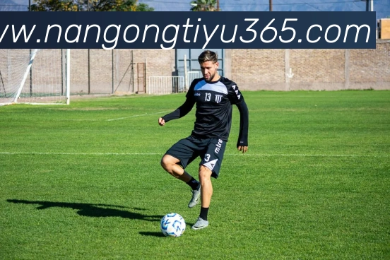 南宫体育APP 封面图